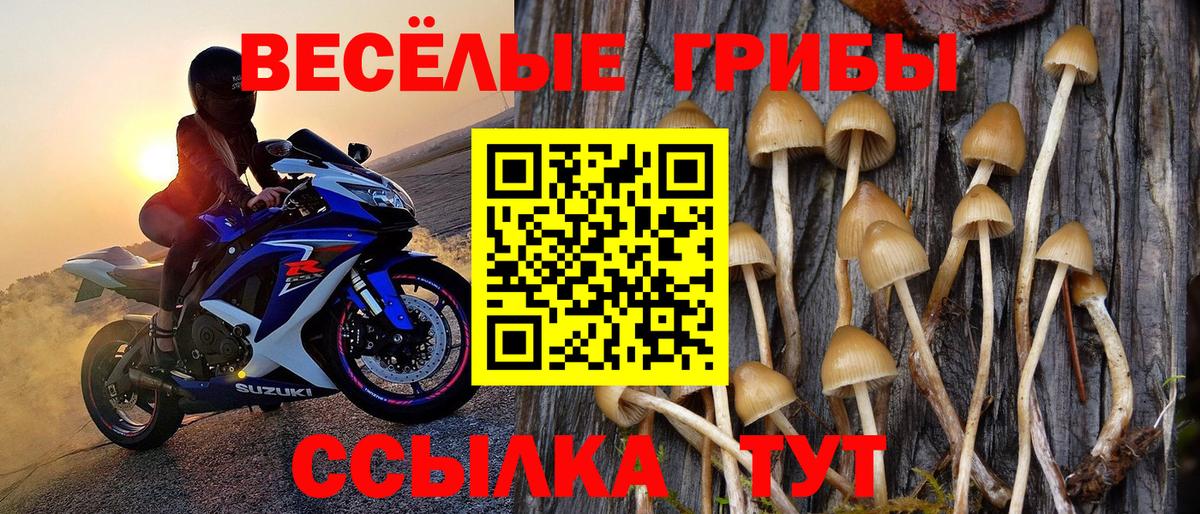 Галлюциногенные грибы мицелий Калуга