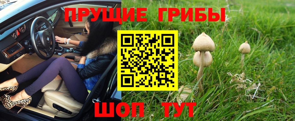 Калуга  Галлюциногенные грибы GOLDEN TEACHER  Вход с VPN  Галлюциногенные грибы ЛСД 